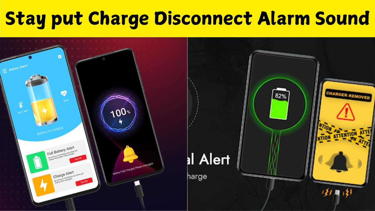 Stay put Charge Disconnect Alarm Sound